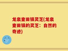 龙泉查田镇灵芝(龙泉查田镇的灵芝：自然的奇迹)