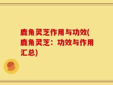 鹿角灵芝作用与功效(鹿角灵芝：功效与作用汇总)