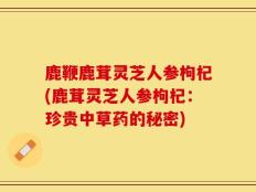 鹿鞭鹿茸灵芝人参枸杞(鹿茸灵芝人参枸杞：珍贵中草药的秘密)