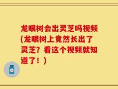 龙眼树会出灵芝吗视频(龙眼树上竟然长出了灵芝？看这个视频就知道了！)