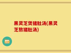 黑灵芝煲猪肚汤(黑灵芝熬猪肚汤)