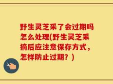 野生灵芝采了会过期吗怎么处理(野生灵芝采摘后应注意保存方式，怎样防止过期？)