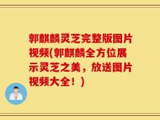 郭麒麟灵芝完整版图片视频(郭麒麟全方位展示灵芝之美，放送图片视频大全！)