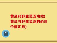 黄芪和野生灵芝功效(黄芪与野生灵芝的药用价值汇总)