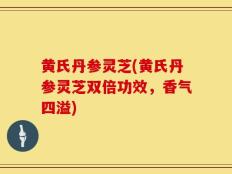 黄氏丹参灵芝(黄氏丹参灵芝双倍功效，香气四溢)
