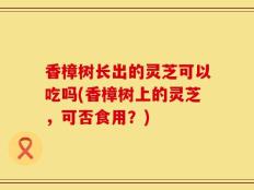 香樟树长出的灵芝可以吃吗(香樟树上的灵芝，可否食用？)