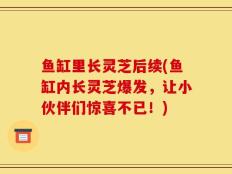 鱼缸里长灵芝后续(鱼缸内长灵芝爆发，让小伙伴们惊喜不已！)