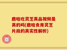 鹿晗吃灵芝真品视频是真的吗(鹿晗食用灵芝片段的真实性解析)