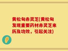 黄松甸赤灵芝(黄松甸发现重要药材赤灵芝来历及功效，引起关注)