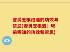 雪灵芝根泡酒的功效与禁忌(雪灵芝根酒：喝前需知的功效和禁忌)