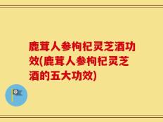 鹿茸人参枸杞灵芝酒功效(鹿茸人参枸杞灵芝酒的五大功效)