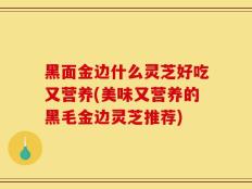 黑面金边什么灵芝好吃又营养(美味又营养的黑毛金边灵芝推荐)