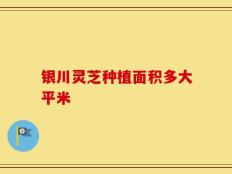 银川灵芝种植面积多大平米