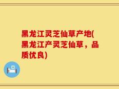 黑龙江灵芝仙草产地(黑龙江产灵芝仙草，品质优良)