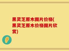 黑灵芝原木图片价格(黑灵芝原木价格图片欣赏)