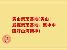 黄山灵芝基地(黄山：发掘灵芝基地，集中中国好山河精神)