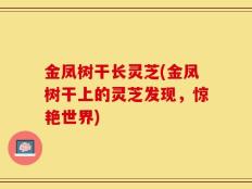 金凤树干长灵芝(金凤树干上的灵芝发现，惊艳世界)