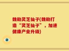 魏勋灵芝仙子(魏勋打造“灵芝仙子”，加速健康产业升级)