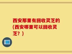 西安那里有回收灵芝的(西安哪里可以回收灵芝？)