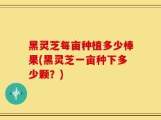 黑灵芝每亩种植多少棒果(黑灵芝一亩种下多少颗？)