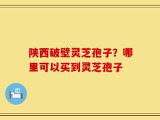 陕西破壁灵芝孢子？哪里可以买到灵芝孢子