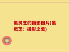 黑灵芝的摄影图片(黑灵芝：摄影之美)