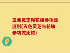 五色灵芝和花旗参功效区别(五色灵芝与花旗参功效比较)
