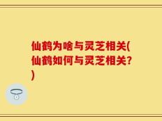 仙鹤为啥与灵芝相关(仙鹤如何与灵芝相关？)
