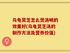 乌龟灵芝怎么煲汤喝的效果好(乌龟灵芝汤的制作方法及营养价值)