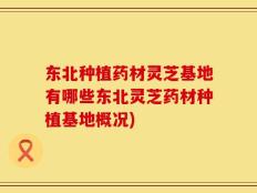 东北种植药材灵芝基地有哪些东北灵芝药材种植基地概况)