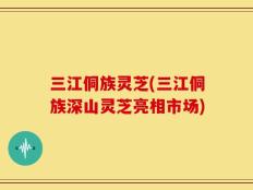三江侗族灵芝(三江侗族深山灵芝亮相市场)