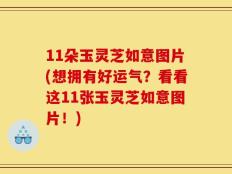 11朵玉灵芝如意图片(想拥有好运气？看看这11张玉灵芝如意图片！)