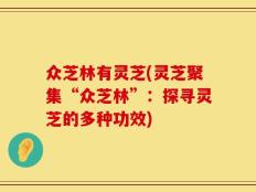 众芝林有灵芝(灵芝聚集“众芝林”：探寻灵芝的多种功效)