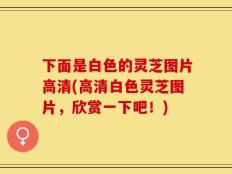 下面是白色的灵芝图片高清(高清白色灵芝图片，欣赏一下吧！)