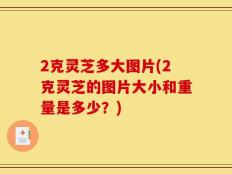 2克灵芝多大图片(2克灵芝的图片大小和重量是多少？)