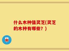 什么木种值灵芝(灵芝的木种有哪些？)