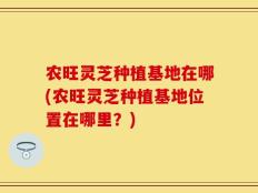 农旺灵芝种植基地在哪(农旺灵芝种植基地位置在哪里？)