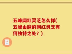 五峰网红灵芝怎么样(五峰山脉的网红灵芝有何独特之处？)