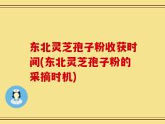 东北灵芝孢子粉收获时间(东北灵芝孢子粉的采摘时机)