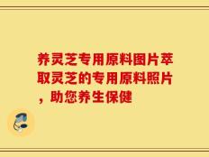 养灵芝专用原料图片萃取灵芝的专用原料照片，助您养生保健
