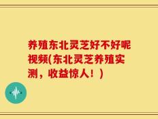 养殖东北灵芝好不好呢视频(东北灵芝养殖实测，收益惊人！)