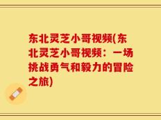 东北灵芝小哥视频(东北灵芝小哥视频：一场挑战勇气和毅力的冒险之旅)