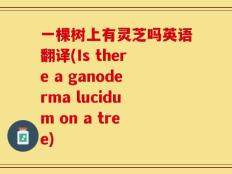 一棵树上有灵芝吗英语翻译(Is there a ganoderma lucidum on a tree)