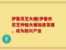 伊春灵芝大棚(伊春市灵芝种植大棚加速发展，成为新兴产业