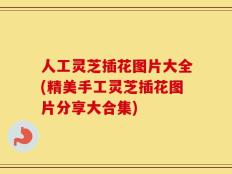 人工灵芝插花图片大全(精美手工灵芝插花图片分享大合集)
