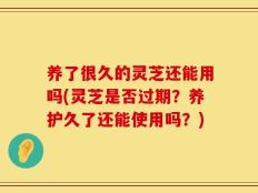 养了很久的灵芝还能用吗(灵芝是否过期？养护久了还能使用吗？)