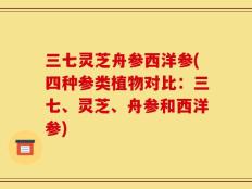 三七灵芝舟参西洋参(四种参类植物对比：三七、灵芝、舟参和西洋参)