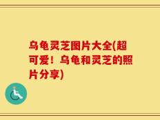 乌龟灵芝图片大全(超可爱！乌龟和灵芝的照片分享)