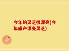 今年的灵芝很漂亮(今年盛产漂亮灵芝)