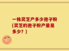 一株灵芝产多少孢子粉(灵芝的孢子粉产量是多少？)